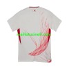 Maillot de Foot Japon Extérieur 2024